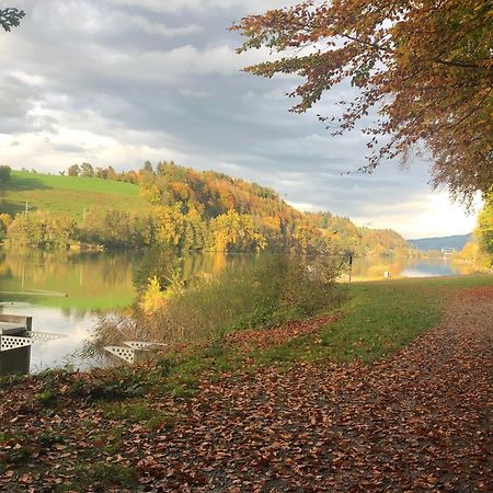 Charming Studio Near Rotsee Lucerne Kitchen/Wifi/Wasching Machine Bagian luar foto