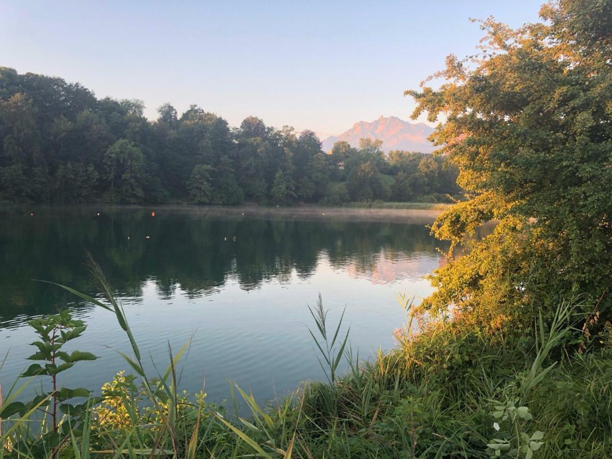 Charming Studio Near Rotsee Lucerne Kitchen/Wifi/Wasching Machine Bagian luar foto